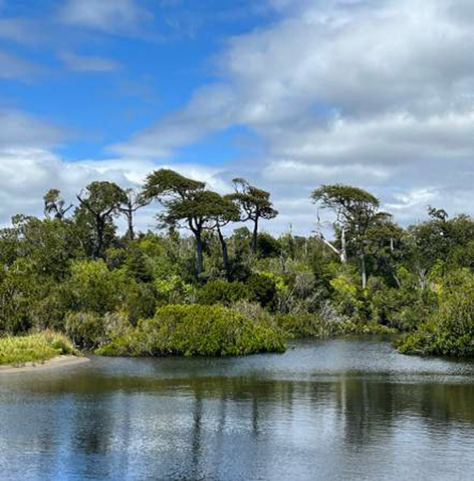 Terreno de 6 ha en Lago Huillinco Chiloé