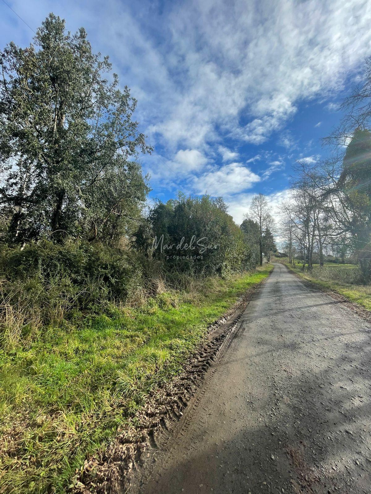 Hermosa Parcela entre Rio Bueno Y Puerto Nuevo