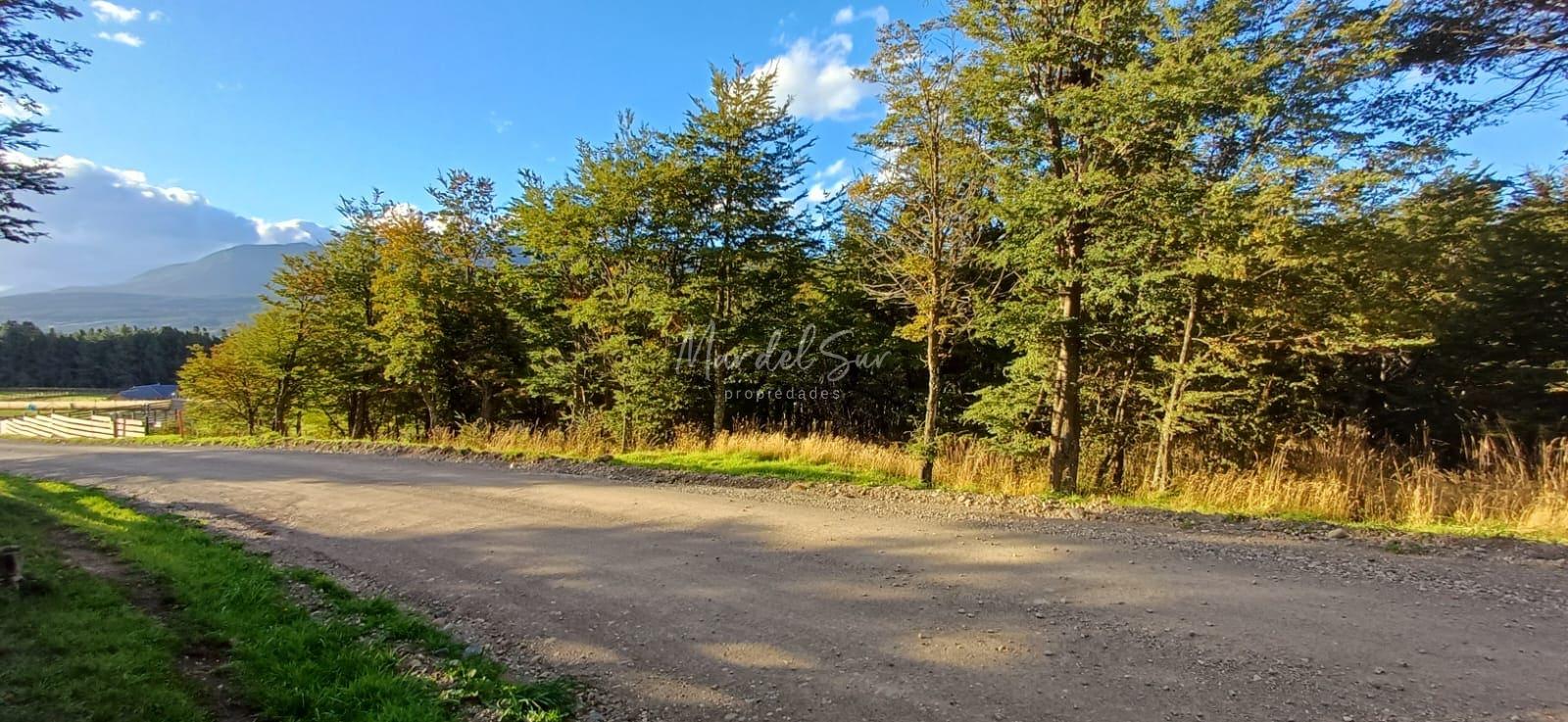 Hermosa parcela en Sector residencial de Coyhaique