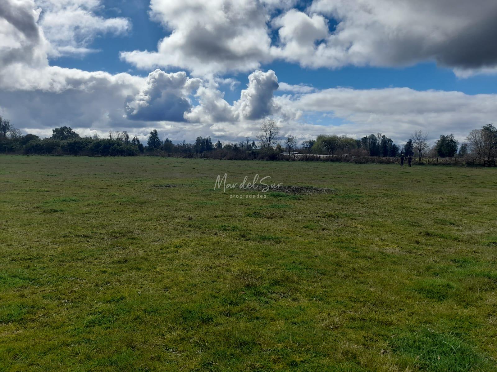 Parcela Entre Rio Bueno y Lago Ranco