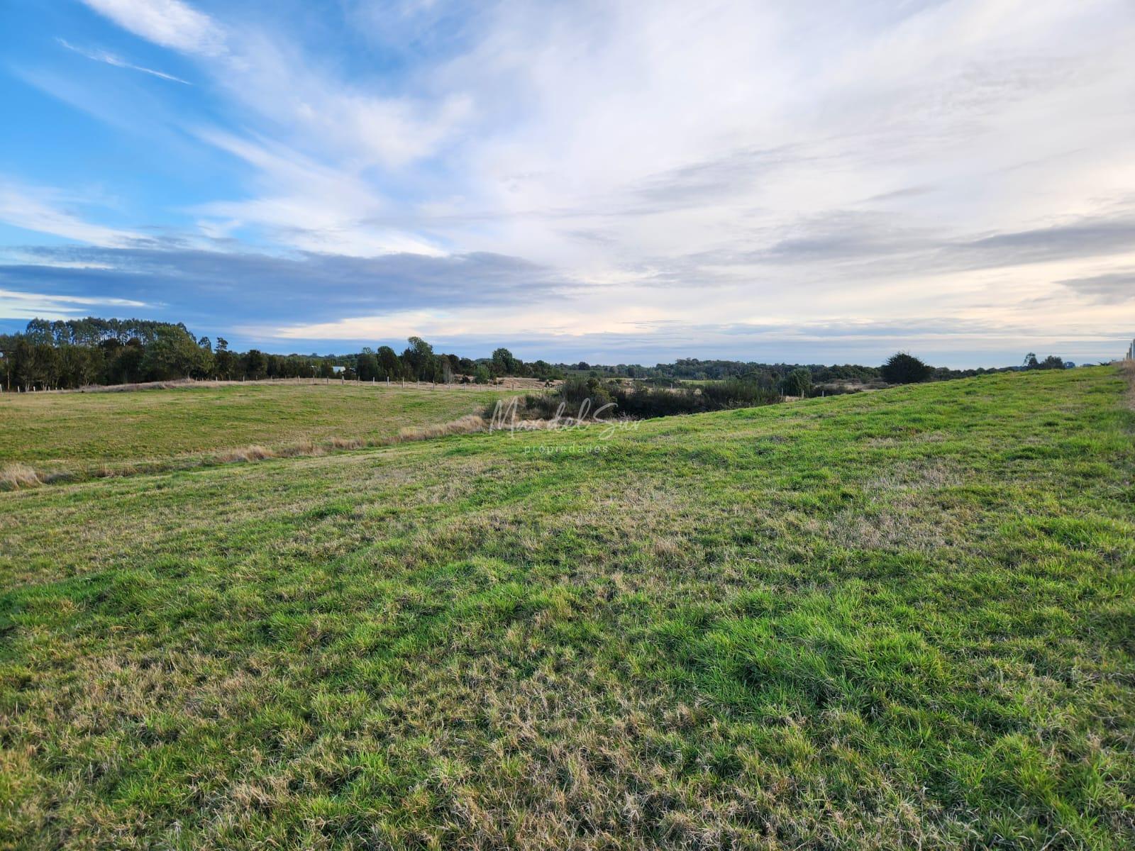 Parcela de 8.000 mts2, ubicada en el cruce de Puerto Elvira