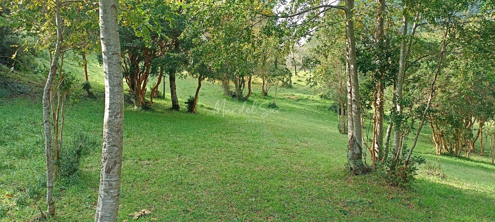 Gran Parcela de 13.100 mts2 con vista a Lago Ranco